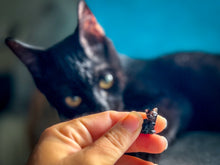 Load image into Gallery viewer, Tiny Black Obsidian Cats, Mini Black Cat, Black Crystal Cat, Witchy Halloween Decor
