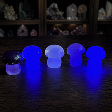 Load image into Gallery viewer, Five candy fluorite mushroom carvings showing their blue violet reaction under UV light
