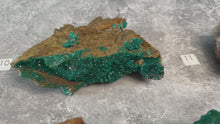 Load and play video in Gallery viewer, Raw Dioptase Crystal Specimen
