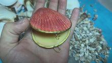 Load and play video in Gallery viewer, CREATRIX Solid Perfume, Botanical Natural Perfume in A Seashell Compact
