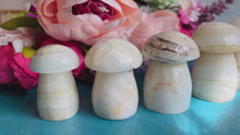 Load and play video in Gallery viewer, Agate Crystal Mushrooms
