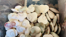 Load and play video in Gallery viewer, Spiral Shell Heart, Shiva Eye Heart
