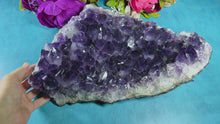 Load and play video in Gallery viewer, Huge 14&quot; Raw Amethyst Geode, 10.5 Lbs!
