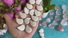 Load and play video in Gallery viewer, Shiva Eye Shells, Spiral Shells
