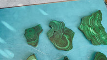 Load and play video in Gallery viewer, Orbicular Malachite Slice, Polished One Side Only
