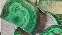 Load and play video in Gallery viewer, Polished Orbicular Malachite Slice
