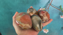 Load and play video in Gallery viewer, Polychrome Jasper Palmstones

