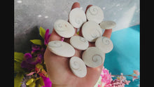 Load and play video in Gallery viewer, Round Shiva Eye Shells, Spiral Shells

