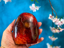 Load image into Gallery viewer, Carnelian Free Form for PROSPERITY  + PASSION Polished Carnelian

