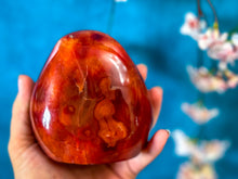 Load image into Gallery viewer, Carnelian Free Form for PROSPERITY  + PASSION Polished Carnelian
