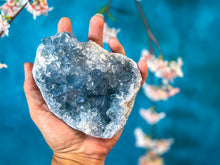 Load image into Gallery viewer, Ethically Sourced CELESTITE Clusters 450-800 Grams
