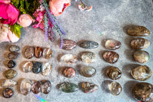 Load image into Gallery viewer, Shamanic Dream Stone, Polished Lodolite, Scenic Quartz, Garden Quartz
