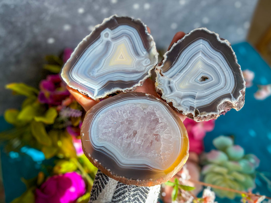 Natural Agate Slices, Some with Druzies!