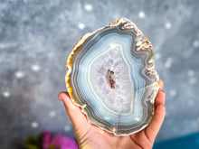 Load image into Gallery viewer, Natural Agate Slices, Some with Druzies!
