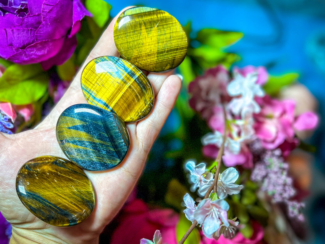 Gold Tiger's Eye Palms, some with Blue!