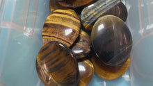 Load and play video in Gallery viewer, Gold Tiger&#39;s Eye Palms, some with Blue!
