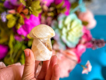 Load image into Gallery viewer, Agate Crystal Mushrooms
