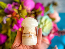 Load image into Gallery viewer, Agate Crystal Mushrooms
