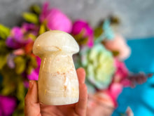 Load image into Gallery viewer, Agate Crystal Mushrooms

