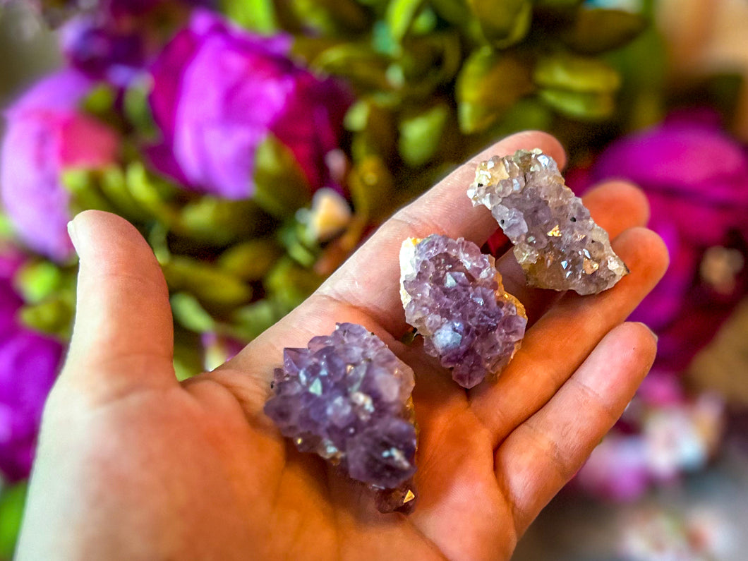 Amethyst Clusters From Madagascar
