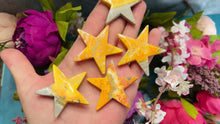 Load and play video in Gallery viewer, BumbleBee Jasper Stars
