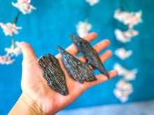Load image into Gallery viewer, Black Kyanite Fans

