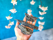 Load image into Gallery viewer, Black Kyanite Fans
