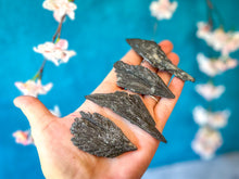 Load image into Gallery viewer, Black Kyanite Fans

