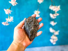 Load image into Gallery viewer, Black Kyanite Fans
