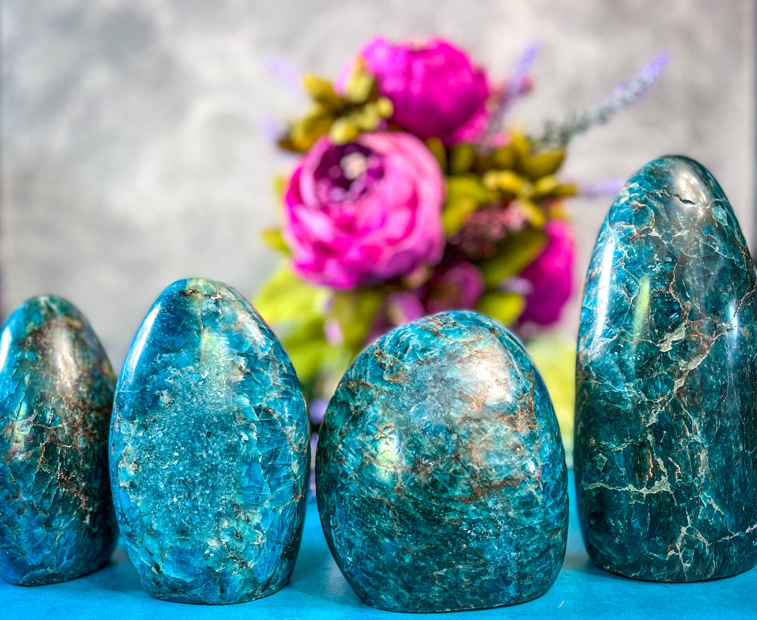 Ethically Sourced Blue Apatite Freeforms