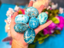 Load image into Gallery viewer, Blue Apatite Palmstones, Ethically Sourced Crystals

