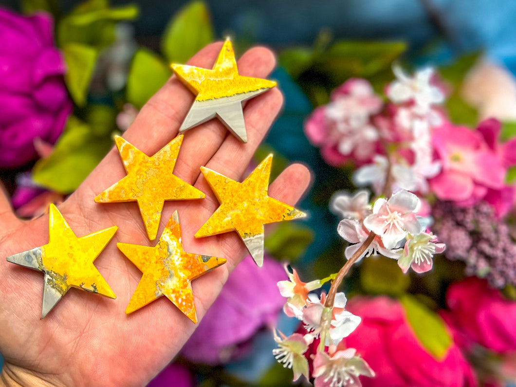 BumbleBee Jasper Stars