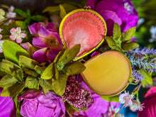 Load image into Gallery viewer, CREATRIX Solid Perfume, Botanical Natural Perfume in A Seashell Compact
