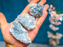 Load image into Gallery viewer, Ethically Sourced CELESTITE Clusters 25-450 Grams
