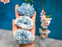 Load image into Gallery viewer, Ethically Sourced CELESTITE Clusters 25-450 Grams
