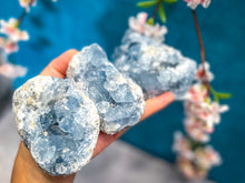 Load image into Gallery viewer, Ethically Sourced CELESTITE Clusters 25-450 Grams
