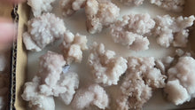 Load and play video in Gallery viewer, Crystallized Pink Quartz Clusters, RARE Rose Quartz Clusters from Tata Morocco
