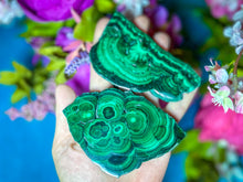Load image into Gallery viewer, Polished Orbicular Malachite Slice
