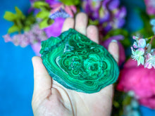 Load image into Gallery viewer, Polished Orbicular Malachite Slice
