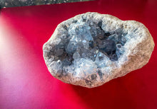 Load image into Gallery viewer, Ethically Sourced 11.75 lb CELESTITE geode
