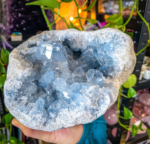 Ethically Sourced 11.75 lb CELESTITE geode
