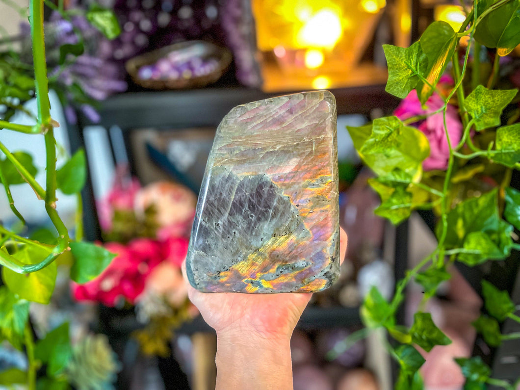 EPIC Spectralite Purple Pink Labradorite Freeform