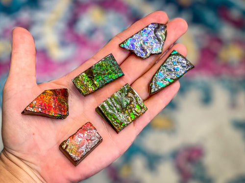 Ammolite