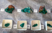 Load image into Gallery viewer, Raw Dioptase Crystal Specimen
