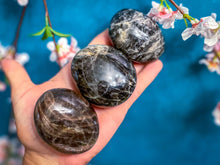 Load image into Gallery viewer, Black Moonstone Palmstones
