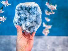 Load image into Gallery viewer, Ethically Sourced CELESTITE geode
