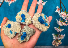 Load image into Gallery viewer, Raw Cavansite Crystal Specimens
