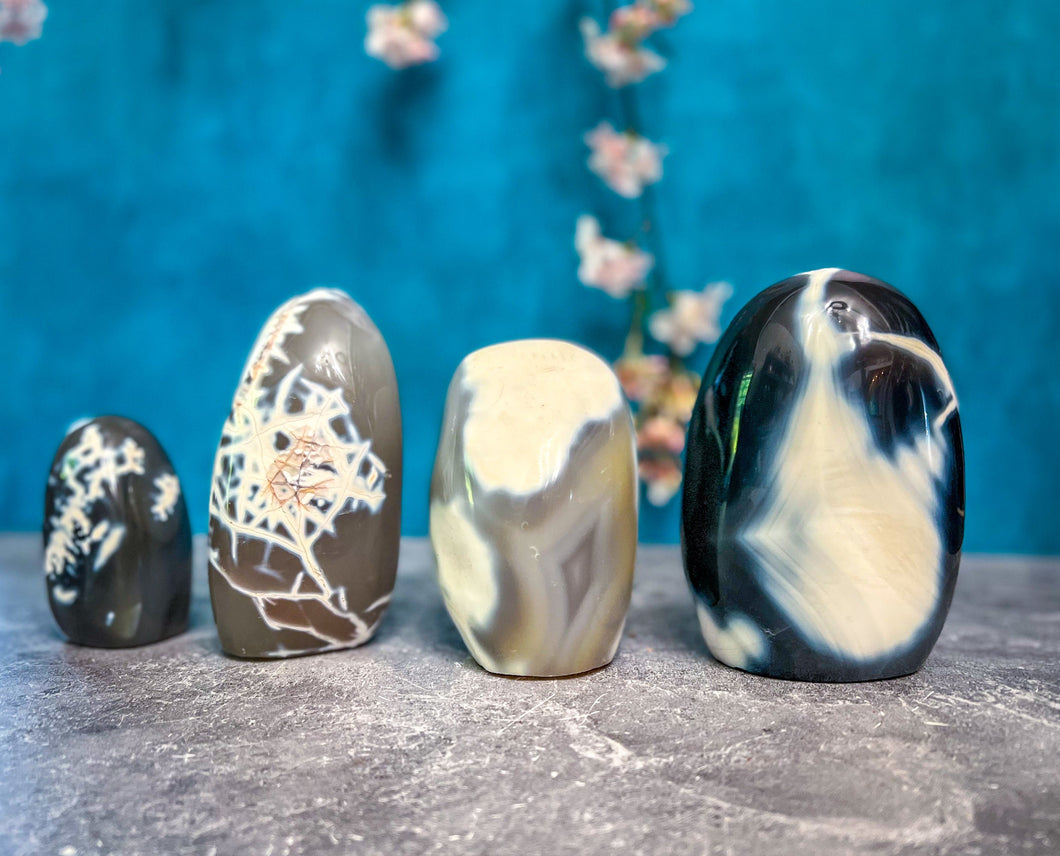 Orca Agate Free form