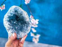 Load image into Gallery viewer, Ethically Sourced CELESTITE geode
