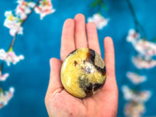 Load image into Gallery viewer, SEPTARIAN PALM STONES
